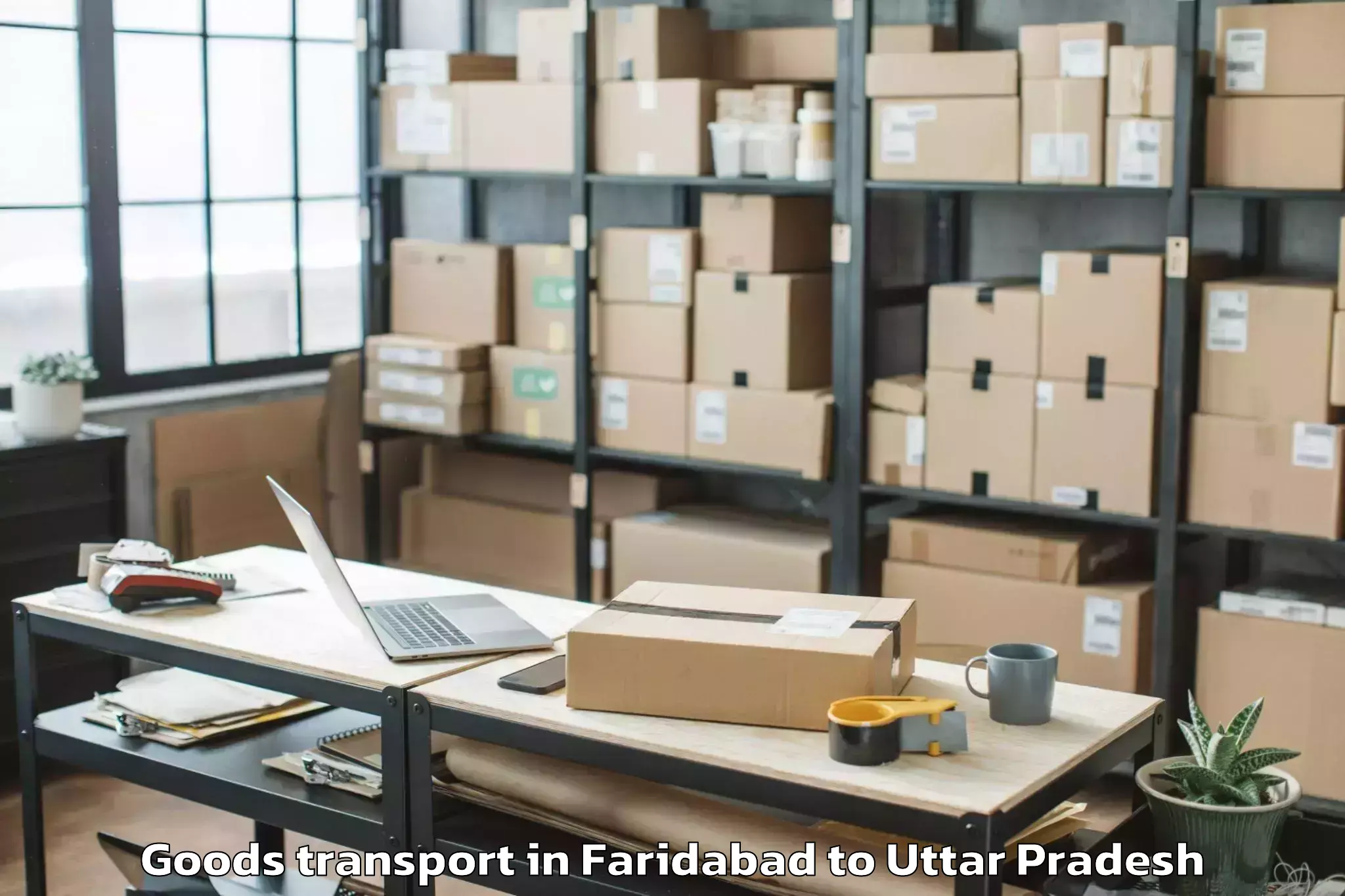 Trusted Faridabad to Salempur Goods Transport